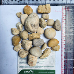 Sỏi lọc nước - Sỏi thạch anh 20-30mm