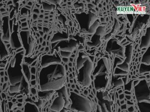 Cấu trúc của than hoạt tính lọc nước tphcm