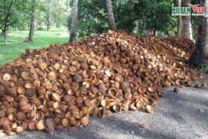 Trang chủ Chuan bi nguyen lieu san xuat than hoat tinh tu go hoac gao dua 300x200 - Trang chủ