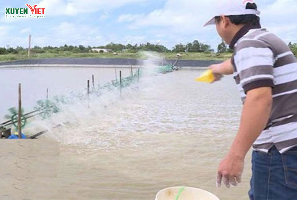 Dung voi khu phen thuong duoc su dung trong ao ho - 4 C&aacute;ch khử ph&egrave;n nước giếng khoan hiệu quả [&iacute;t chi ph&iacute;]