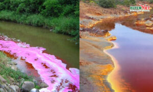 Xử dụng phương pháp xử lý nước thải công nghiệp hợp lý tùy thuộc vào tính chất hóa học của chúng