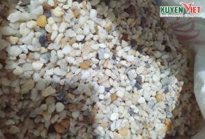 Xuyên Việt chuyên cung cấp sỏi lọc nước với đủ loại kích thước