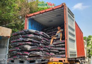 Địa chỉ báo giá than hoạt tính Ấn Độ chính hãng