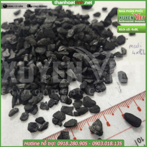 Than Hoạt Tính Trong Ngành Công Nghiệp Thực Phẩm than hoat tinh dang hat 300x298 - Than Hoạt Tính Trong Ngành Công Nghiệp Thực Phẩm