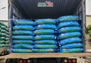 Than gáo dừa lọc nước chính hãng Trà Bắc