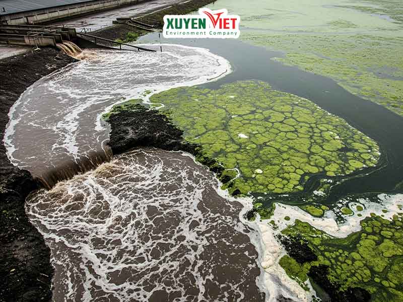 Quy định về xử lý nước thải cần biết để tránh phạt >100 Triệu Hau qua cua viec khong xu ly nuoc thai chan nuoi tai Viet Nam - Quy định về xử lý nước thải cần biết để tránh phạt >100 Triệu
