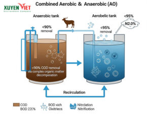 Hệ Thống Kết Hợp Hiếu Khí và Kỵ Khí (AO)