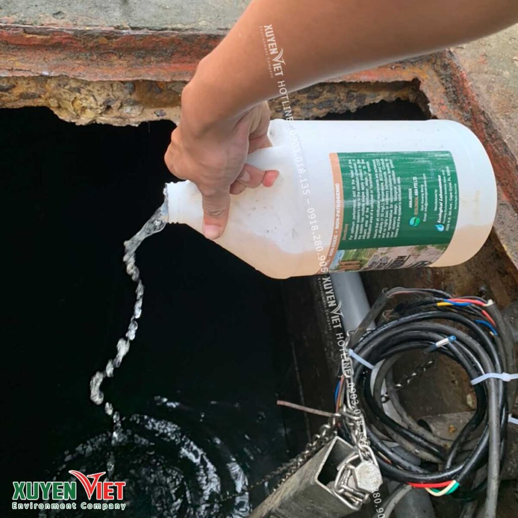 z4819933347566 0434c6ed5c403d75f6133fff186747c9 1024x1024 - Top 5 Loại Công Trình Xử Lý Nước Thải Cần Biết