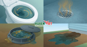 Các dấu hiệu bể phốt bị tràn do ngập