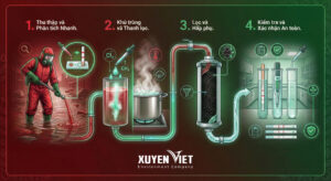 Quy trình xử lý nước nhiễm khuẩn E.coli sau lụt
