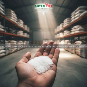 Kho chuyên cung cấp cát trắng kim sa