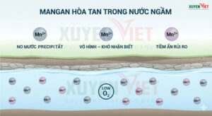 nuoc nhiem mangan voi moi truong ben ngoai 300x164 - Trang chủ