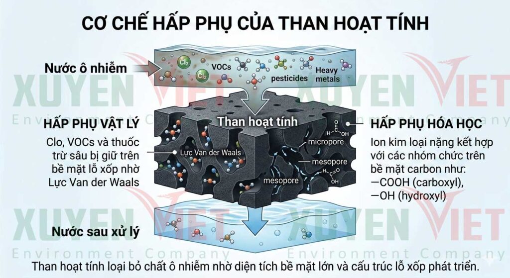 Co che hoat dong cua than hoat tinh trong xu ly nuoc 1024x559 - Than hoạt t&iacute;nh l&agrave; g&igrave; trong kỹ thuật m&ocirc;i trường - xử l&yacute; nước