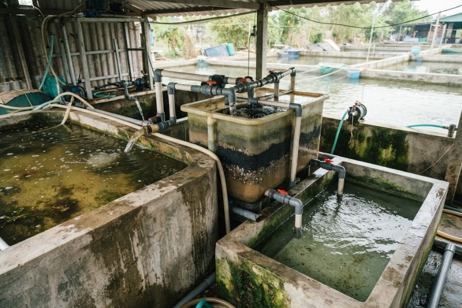 Sơ Đồ Phân Tầng Vật Liệu Lọc Nước Cột Composite Chuẩn Kỹ Thuật Than hoat tinh ho tro giam mau va mui trong nuoc - Sơ Đồ Phân Tầng Vật Liệu Lọc Nước Cột Composite Chuẩn Kỹ Thuật